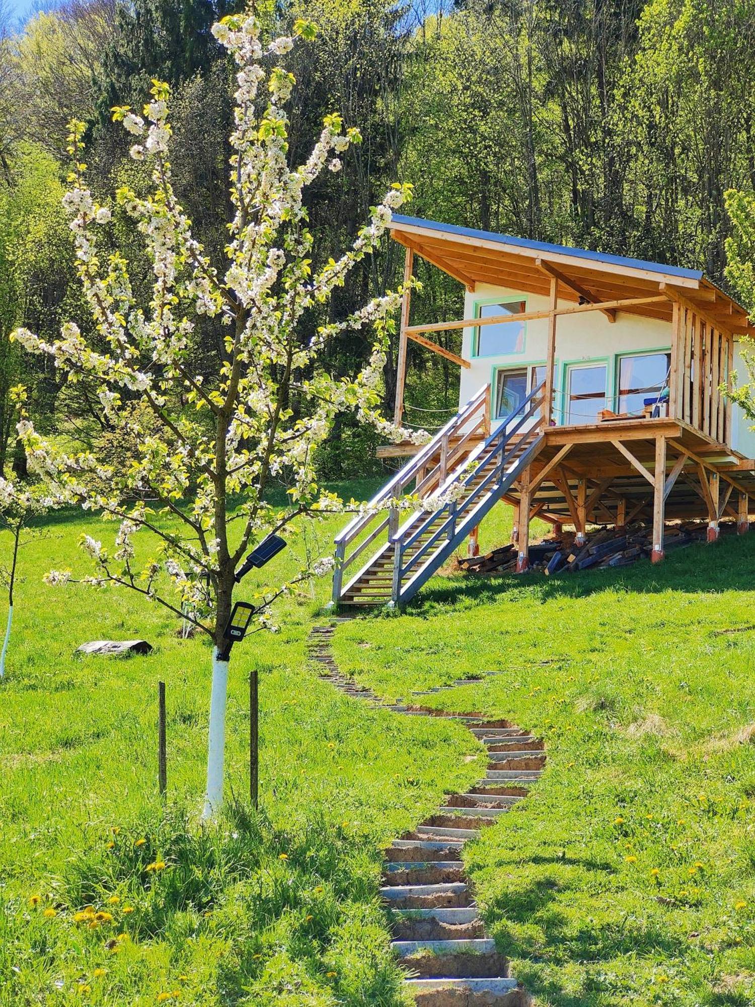 Rainbow Chalet Bran  Zewnętrze zdjęcie
